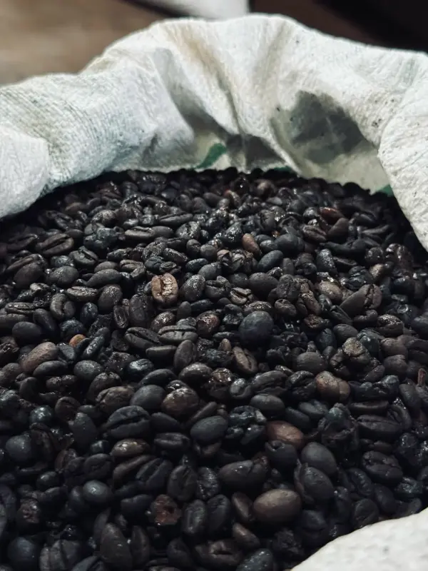Penyajian Kopi Khas Minang