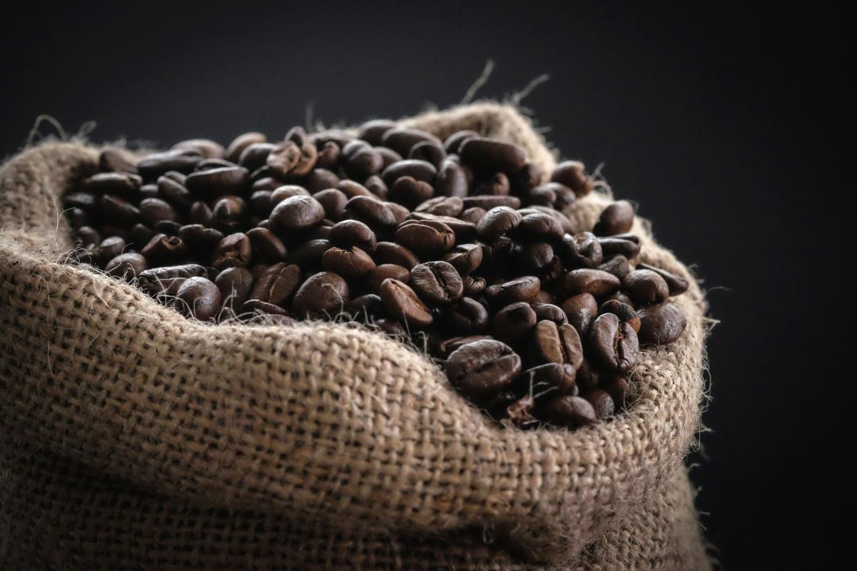 Kopi Koto Tuo