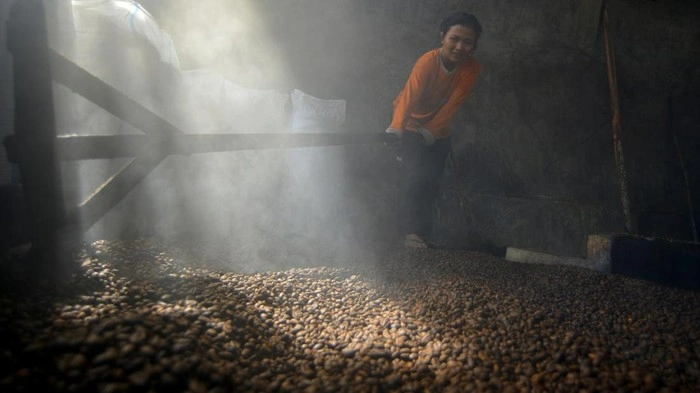 Kopi Koto Tuo