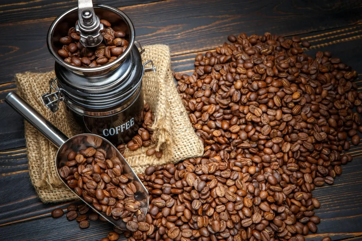 Kopi Koto Tuo