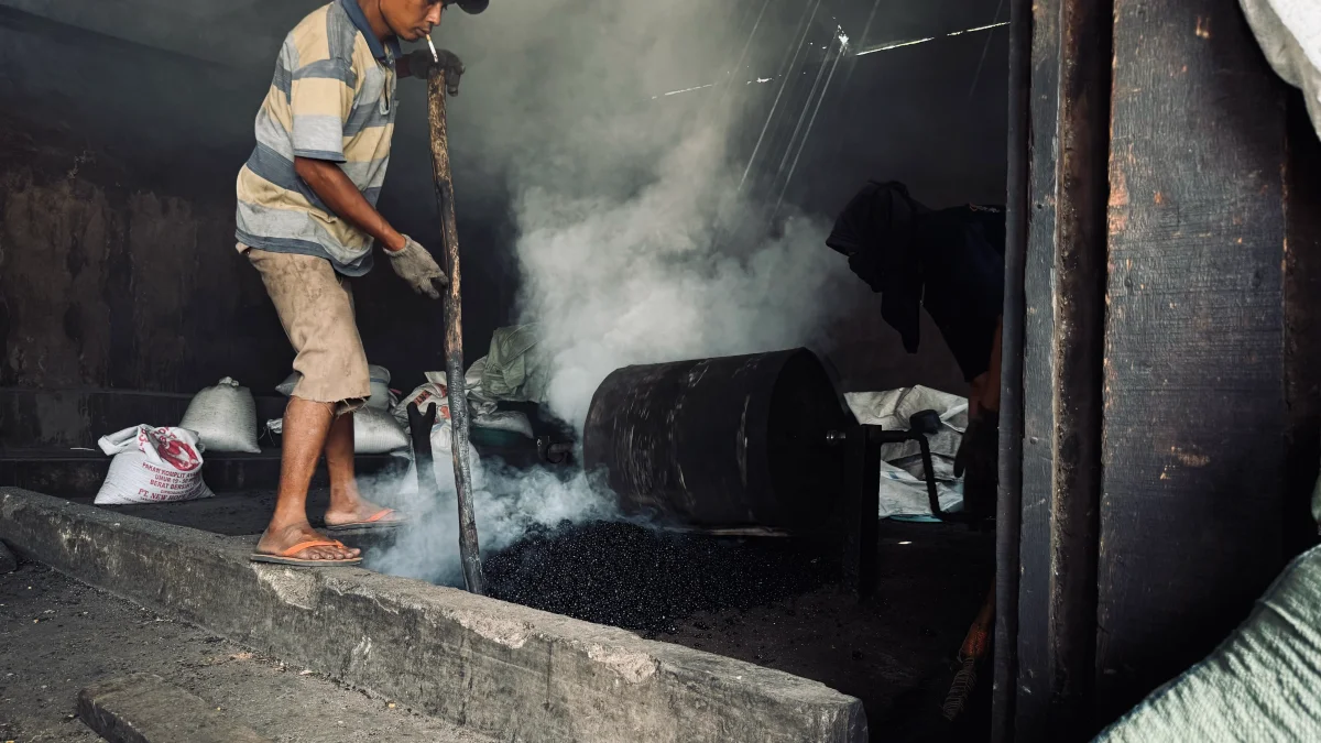 Seni Memilih Ceri Kopi Merah untuk Cita Rasa Terbaik